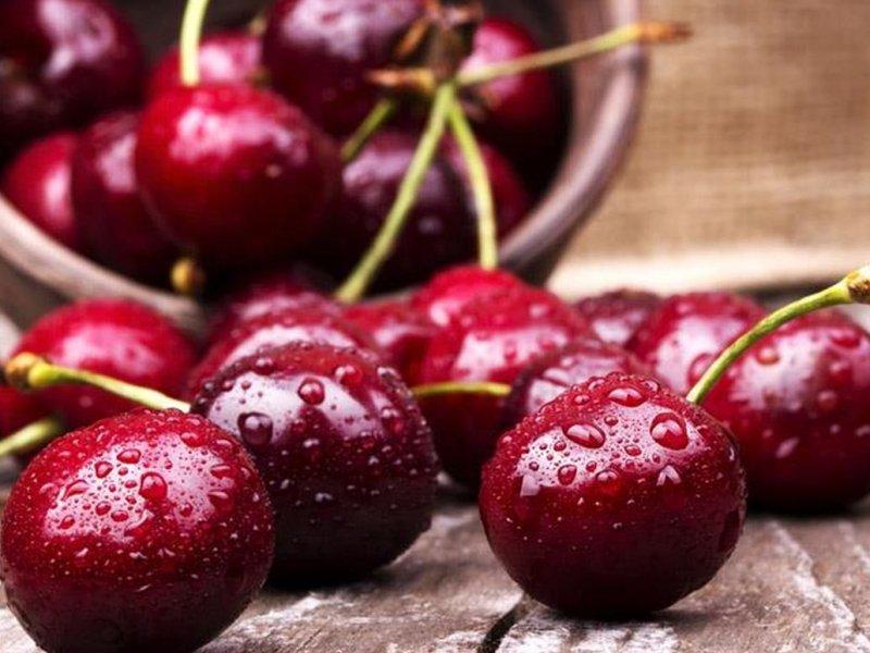 Вишня купить саженцы из питомника в Бору